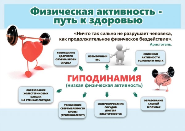 Физическая активность путь к здоровью