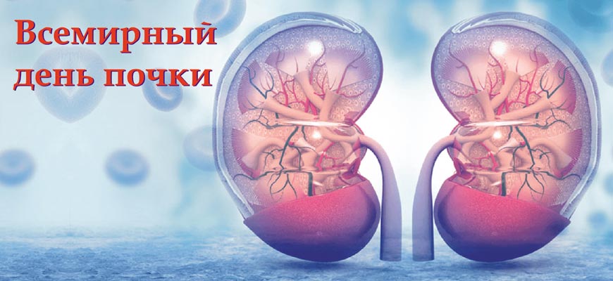 Всемирный день почки