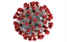 Рекомендации ВОЗ по профилактике коронавирусной инфекции